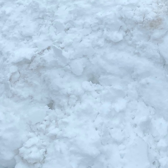 Meet your Posher, Jazmyn - Picture 1 of 1